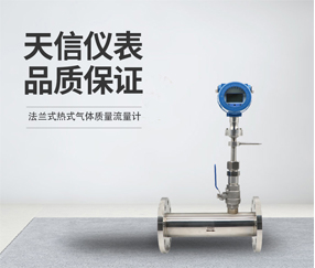 法兰式热式气体质量流量计