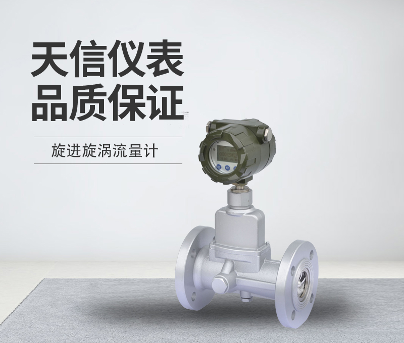 旋进旋涡流量计(图1) 旋进旋涡流量计(图1)